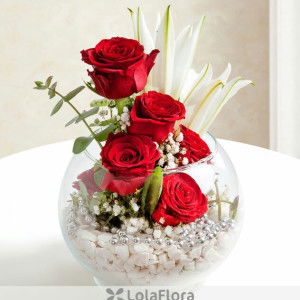 Scholas Tica profile icon