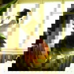 Acharaporn Moonthong profile icon