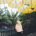 Wilda Faiz profile icon