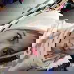 Hasyimiyyah Hanafi profile icon