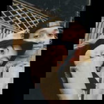 Melati Indah profile icon