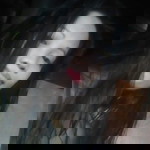 Donalyn Galleta profile icon