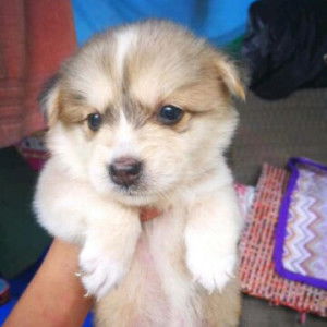 Morèna profile icon