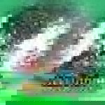 Bambang Hermanto profile icon