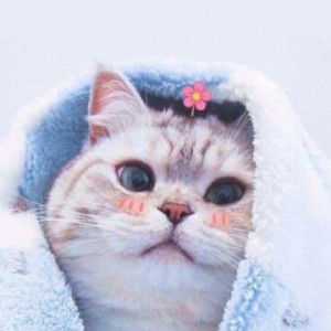 ลูกชิ้นอบเชย profile icon