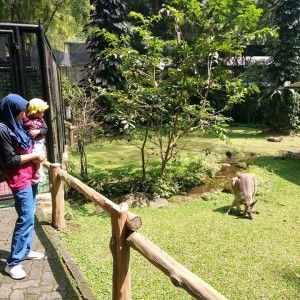 Gemala Praditha profile icon