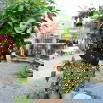 Sale Sale Sukranya profile icon
