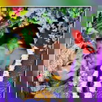 Susi Susilawati Shi'syifaull Qolbiyah profile icon