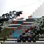 Nurnafizah Adnan profile icon