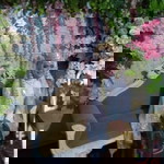 Elisa Lingling profile icon