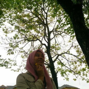 tengku nur husna profile icon