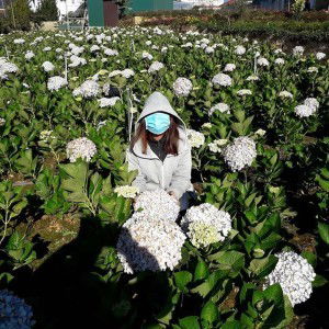 Heo Ũn Ĩn profile icon