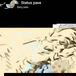 Agust Rusady profile icon