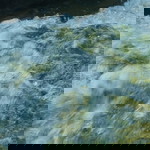 igogan igogan profile icon