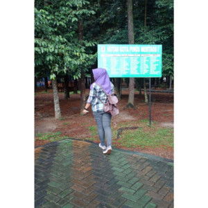 dinnie ayu profile icon