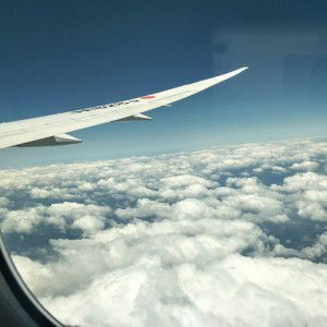 かわいい ミー profile icon