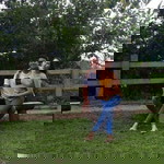 Edison Constantino profile icon