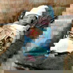 Eka Grestiana profile icon