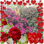 Asya Isyaa profile icon