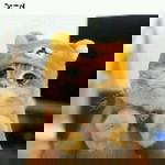 Nur Halikiyah profile icon