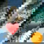 suriani profile icon