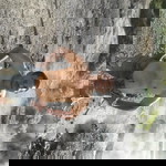 Indra Kasmun profile icon