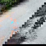 Rhose Lhenn profile icon