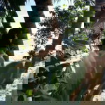 Yupin Jaroenram profile icon