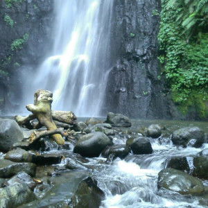 Betty Aw profile icon