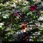 Maeann Tampos profile icon