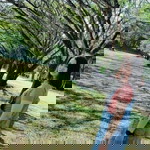 Sukanya Kokapan profile icon