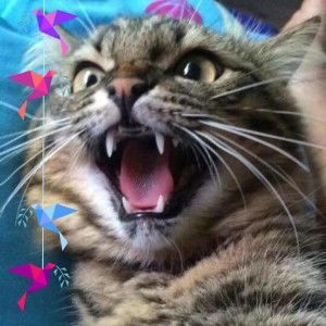 Ai Leen Petsiri profile icon