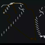 atp profile icon