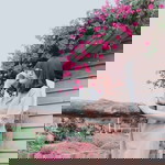 Mộc Miên profile icon