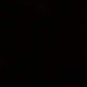 Felicia Sulan profile icon