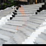 บ้าน ยา ไอซ์ profile icon