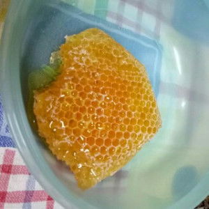 Indrawaty Hadri Witono profile icon