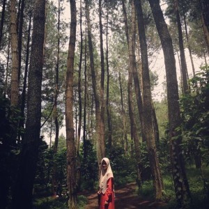 Fitri Andiani profile icon