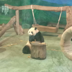 Daryll Joy Malunes profile icon