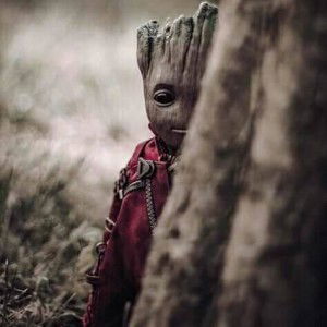 พี' โอ' เอ็นฯ. profile icon