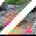 Toch Indy profile icon