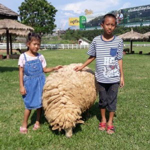 นารี สุสินประเสริฐ profile icon