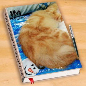 Lvia Ajja profile icon