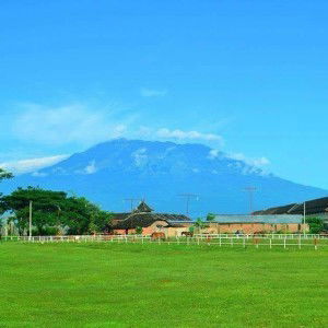 Alhamdulillah profile icon