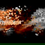 nur muthoharoh profile icon