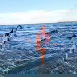 Mary Khaye Guarin Oruga profile icon