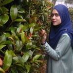 Nurul Husna profile icon