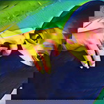 Nurhalimah profile icon