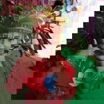 Ibu Abil Nabila profile icon