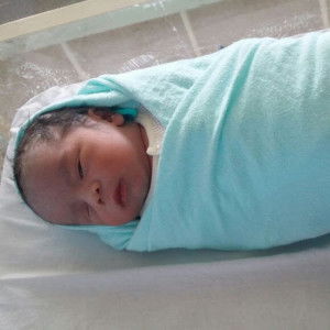 Shiella Fadhil profile icon